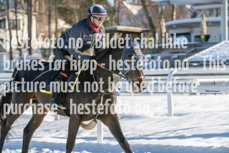 20240217-122221-DSC_4360