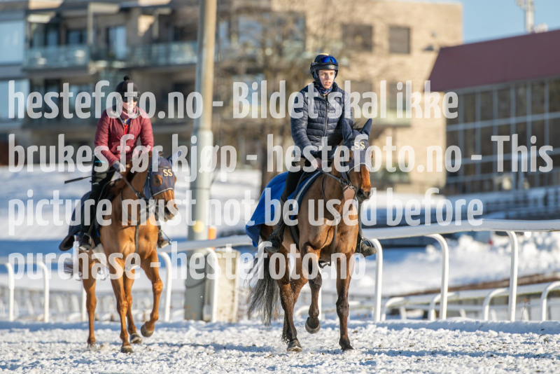 20240217-122538-DSC_4512