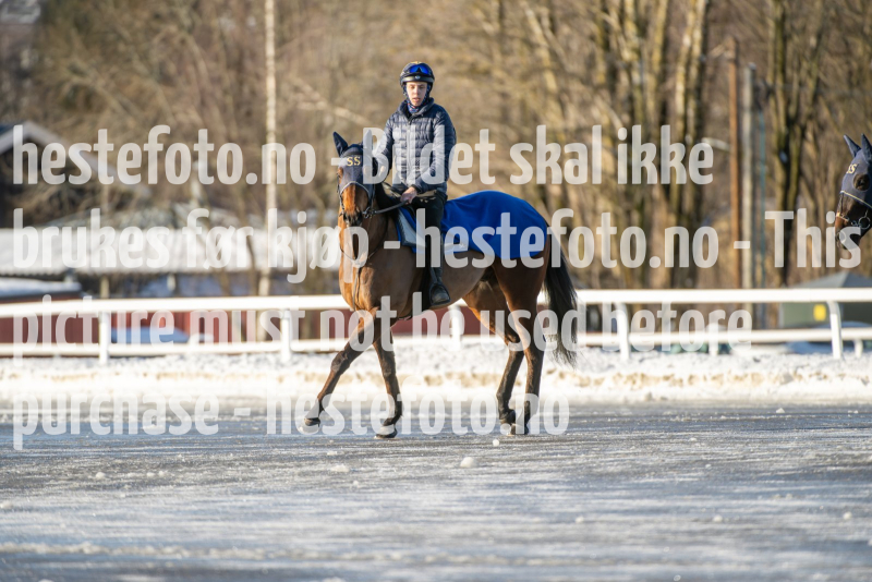 20240217-122823-DSC_4693