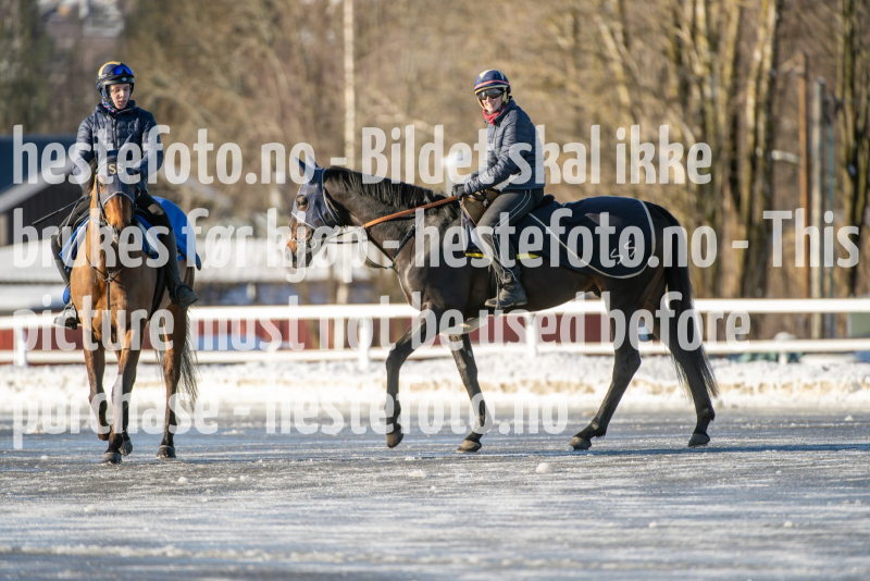 20240217-122826-DSC_4710