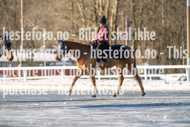 20240217-122830-DSC_4719
