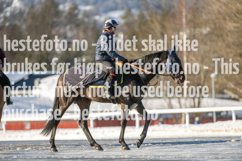 20240217-122838-DSC_4733