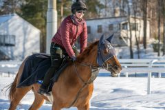 20240217-122102-DSC_4210