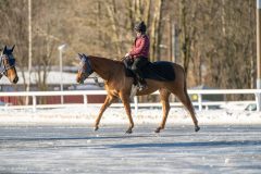 20240217-122830-DSC_4719