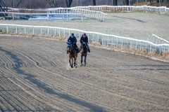 20231118-114648-DSC_6982