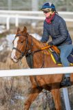 20231118-125704-DSC_7794