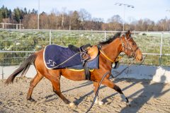 20231118-141228-DSC_8418