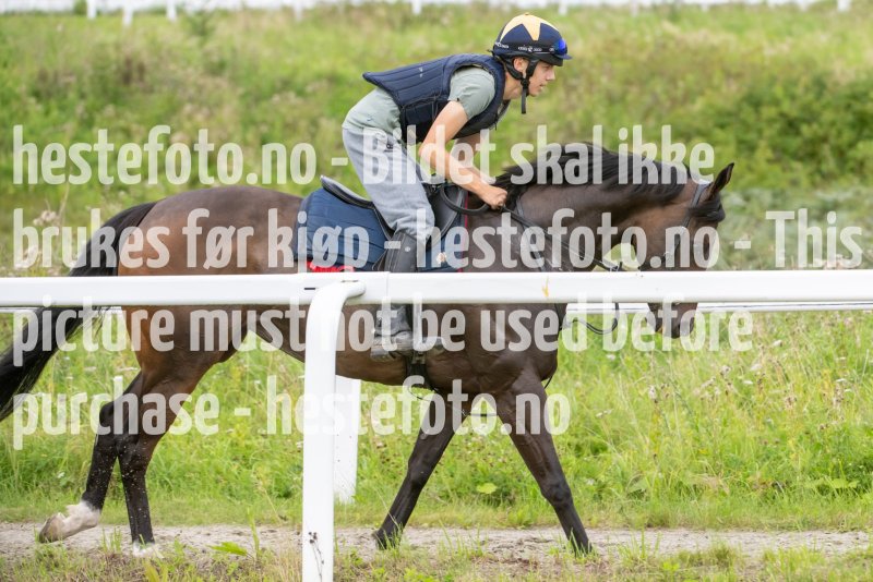 20230819-122148-DSC_7819
