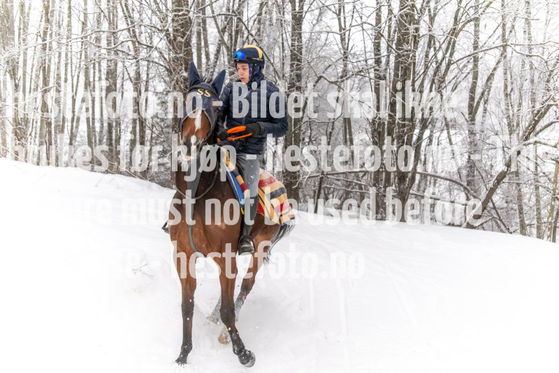 DSC_3585-Enhanced-NR