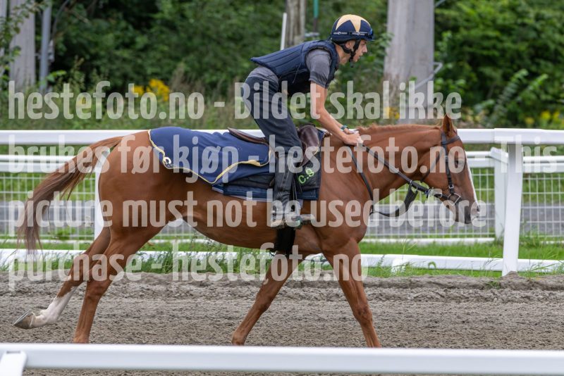 20240824-112621-DSC_6226