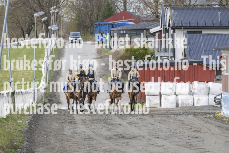 20240427-084631-DSC_5175