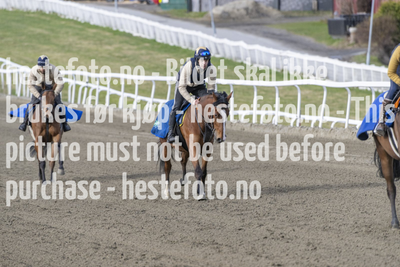 20240427-085139-DSC_5384