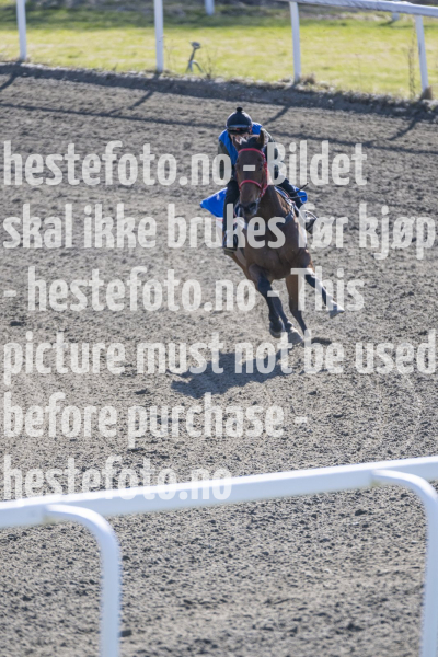 20240427-095917-DSC_6990