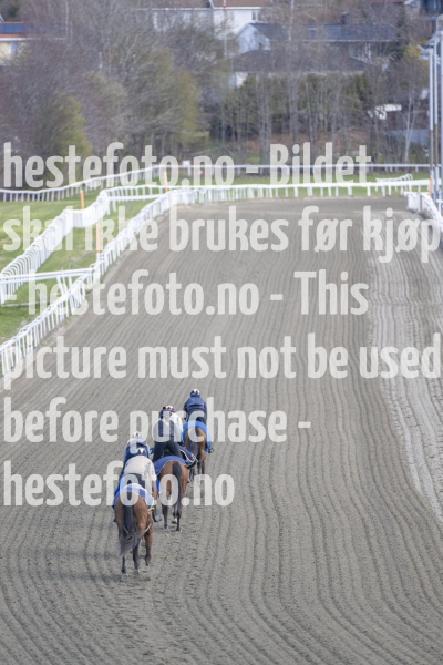 20240427-112014-DSC_7256